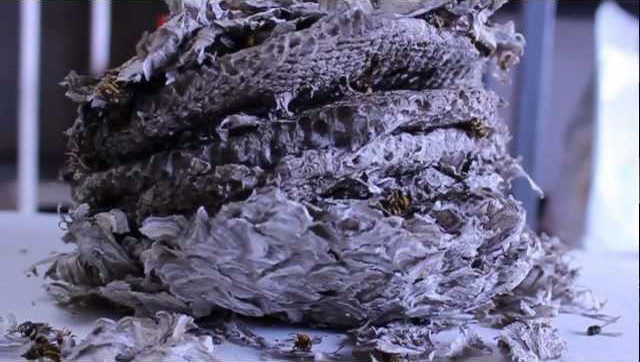 You tube placement image