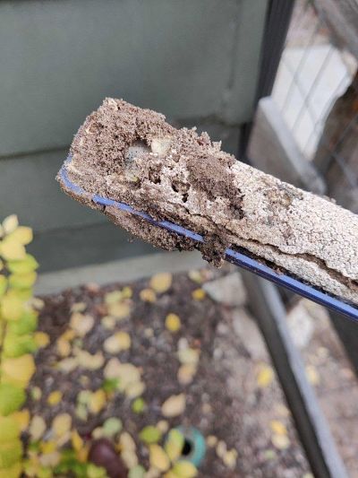 signs of termite problem barrier pest control
